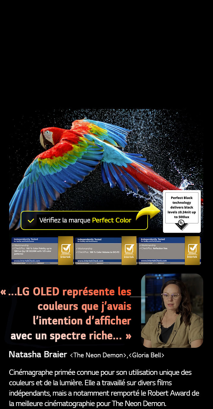 Perroquet coloré en ultra haute définition sur un fond noir. On voit des gouttes d’eau suspendues dans l’air tout autour. L’image présente la technologie Perfect Color, car chaque couleur différente du corps du perroquet est dynamique et éclatante. Le fond sombre avec les éclaboussures d’eau détaillées met également en valeur la protection de l’écran contre les reflets. Différentes certifications de logo UL et Intertek sont visibles. Celles-ci font référence aux technologies 100 % de fidélité des couleurs, Volume de couleurs à 100 % et à sa certification sans reflet. Le texte est également visible, vérifiez le logo de certification Perfect Color.