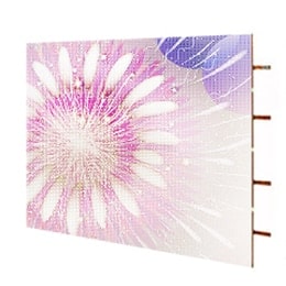 LED SPÉCIAL