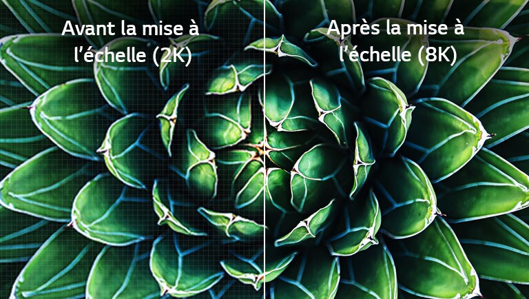 Deux images sont affichées, l’une avant et la seconde après le passage à la résolution 8K. L’image avant amélioration est floue.