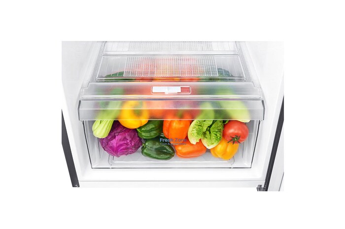 LG 237L, Smart Inverter, Gris Silver, Congélateur en haut, GR-C332SLBB