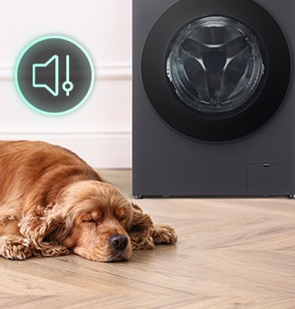 Il y a un chien allongé devant la machine à laver et une icône de son
