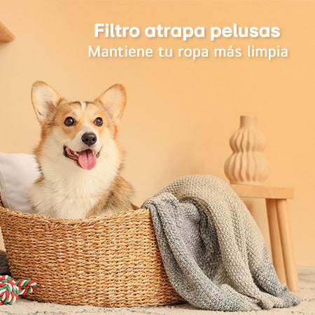 LG Lavadora LG Carga Superior  AI DD™ 19kg, WT19WV6