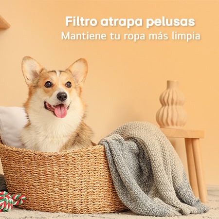LG Lavadora LG Carga Superior  AI DD™ 19kg, WT19WV6