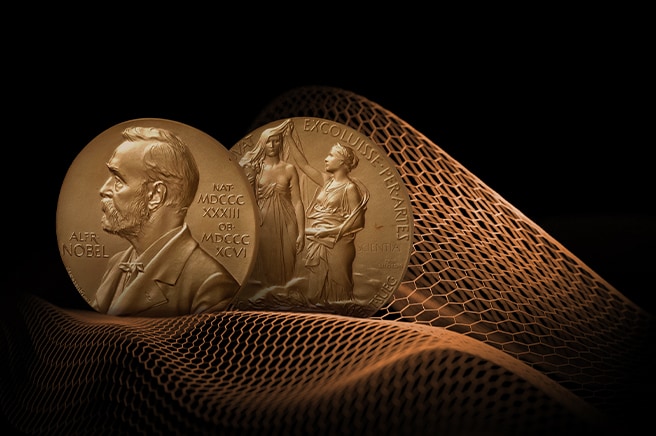 La imagen muestra el anverso y el reverso de la medalla del Premio Nobel. Detrás de la medalla, un patrón hexagonal en forma de red