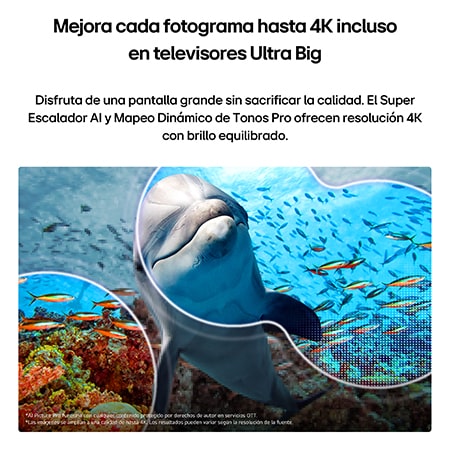 LG NANO 4K UHD AI NU85 with AI Super Upscaling and Dynamic Tone Mapping Pro shows an underwater scene of a dolphin swimming among coral and fish, as AI recognizes and upscales each frame up to 4K resolution.