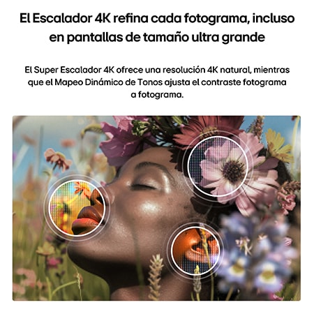 LG NANO 4K UHD AI NU85 with AI Super Upscaling and Dynamic Tone Mapping Pro shows an underwater scene of a dolphin swimming among coral and fish, as AI recognizes and upscales each frame up to 4K resolution.