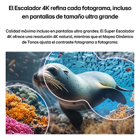 LG NANO 4K UHD AI NU85 with 4K Super Upscaling and Dynamic Tone Mapping shows an underwater scene of a sea lion, as AI recognizes and upscales each frame up to 4K resolution.
