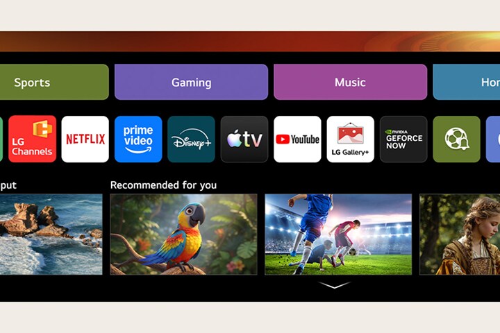 La pantalla de inicio del LG QNED evo AI Mini LED da paso a la interfaz de LG Channels, donde se muestran canales de televisión en vivo gratuitos, películas y contenido exclusivo, al tiempo que destaca el acceso directo a cientos de opciones de entretenimiento en streaming.