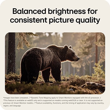 Dynamic Tone Mapping on LG Smart Monitor 27U511SB automatically balancing brightness and contrast for stable viewing.