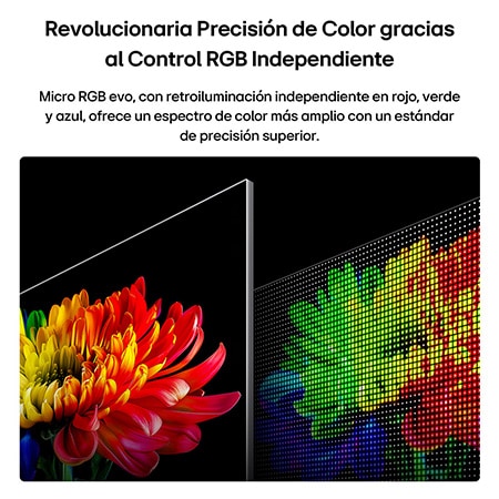 LG Micro RGB evo AI MRGB95, powered by RGB Primary Color Ultra, shows a flower image on the screen, with precisely controlled red, green, and blue light from distinct Micro RGB engines for balanced color and refined contrast.