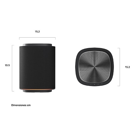 Front view of Rear Speaker