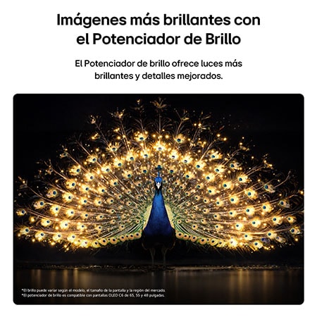La LG OLED evo AI C6 con Brightness Booster muestra una escena oscura en la que un pavo real brillantemente iluminado extiende sus radiantes y resplandecientes plumas, ofreciendo reflejos más brillantes con mayor detalle y un contraste sorprendente.