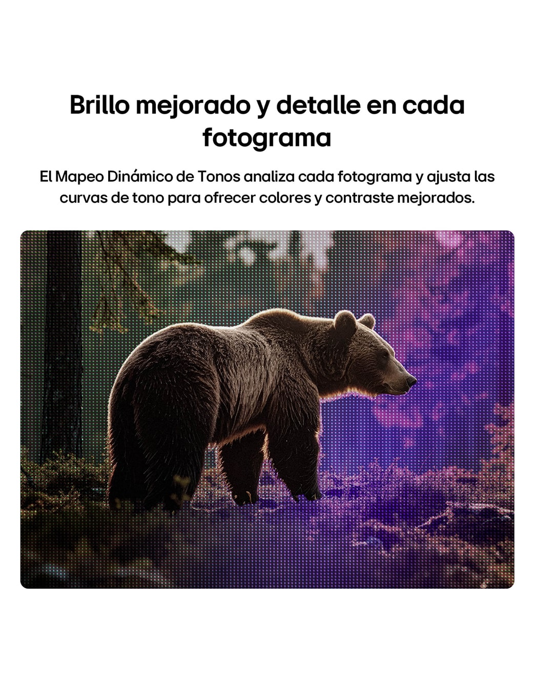 LG SMART TV AI LB65 FHD TV with Dynamic Tone Mapping enhances a forest bear scene by analyzing tonal curves frame by frame, delivering richer textures with improved color contrast and visual clarity.