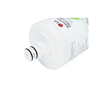 vista de primer plano