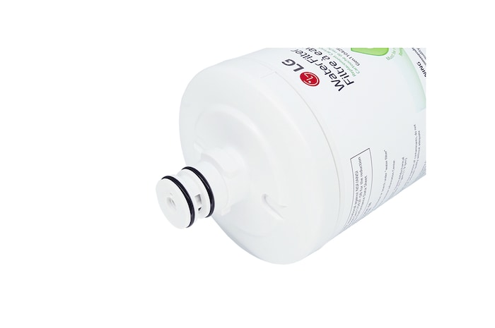 vista de primer plano