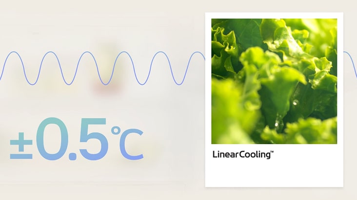 La tecnología LG LinearCooling™ mantiene una temperatura constante con una variación de ±0.5 °C, lo que permite conservar las verduras, como la lechuga, frescas durante más tiempo y disminuye la descomposición de los alimentos.