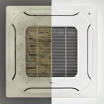 Renovación del panel