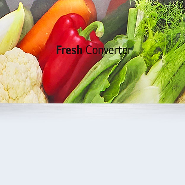 El interior del refrigerador muestra tres tipos de alimentos que pueden almacenarse, representados por íconos de carne, pescado y verduras.