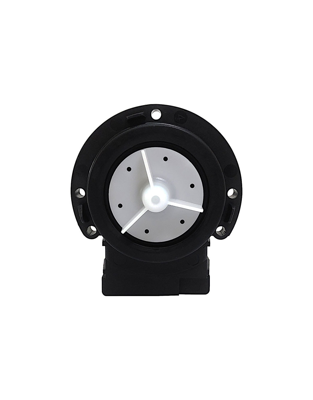 Spazzole Di Carbone Per Miele Meteor 2110, Mondia 1220 - Foto 6