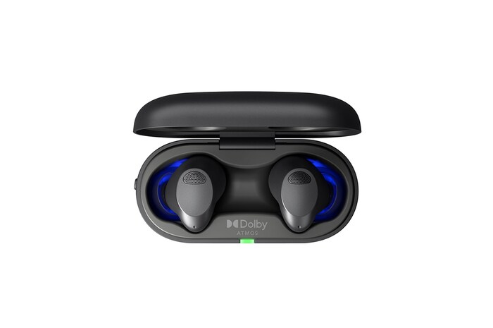 earbuds top view opened