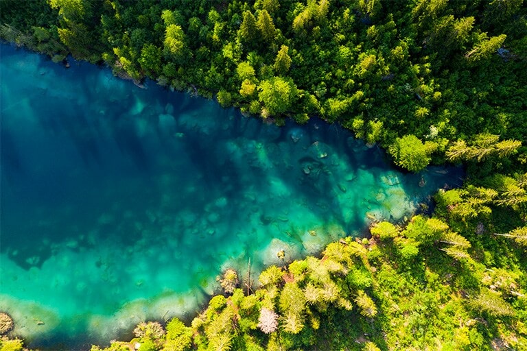 Esta imagen corresponde a un denso bosque natural en el que fluye un río en medio que se ve desde arriba. Esta es una imagen que describe FHD.