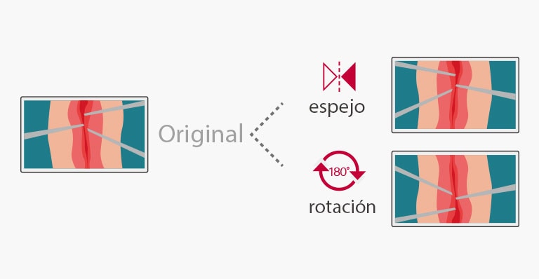 Voltee y gire cómodamente el monitor para ajustarlo a sus necesidades. Los modos de espejo y rotación le permiten seleccionar una imagen conveniente con rotación/espejo de 180°.