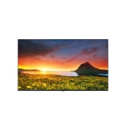 LG TV Hotelera 4K UHD con Pro:Centric Direct, 65UR770H9UD