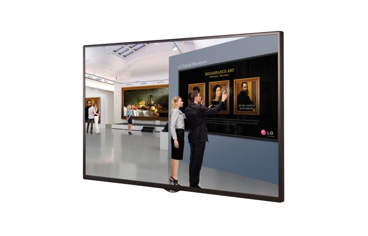 LG Monitor LED Profesional 43" FHD Bisel Delgado, 43SM5B