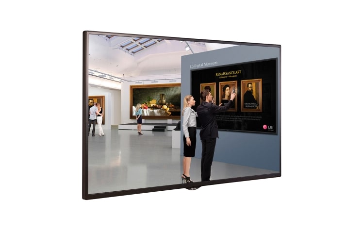 LG Monitor LED Profesional 43" FHD Bisel Delgado, 43SM5B