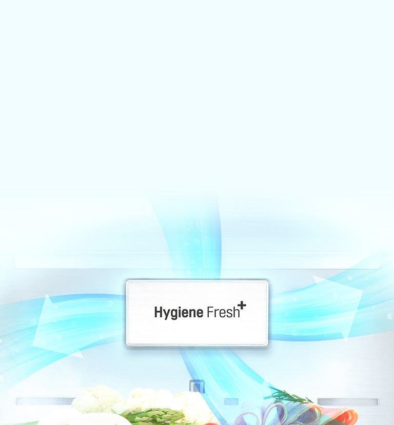 Hygiene Fresh⁺