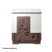 LG Lavadora Carga Superior Doble Tina con Sistema sin aspas Roller- Jet 17Kg color Blanca con café, WP17WA