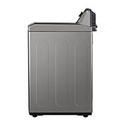 LG Lavadora LG Carga Superior Inverter DD™ 25 Kg, WT25VT6HK