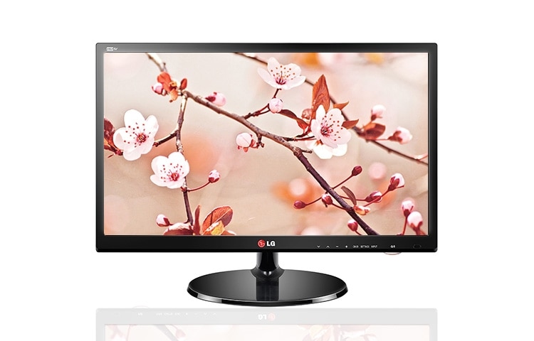 Vista frontal de TV Monitor 19MT43D