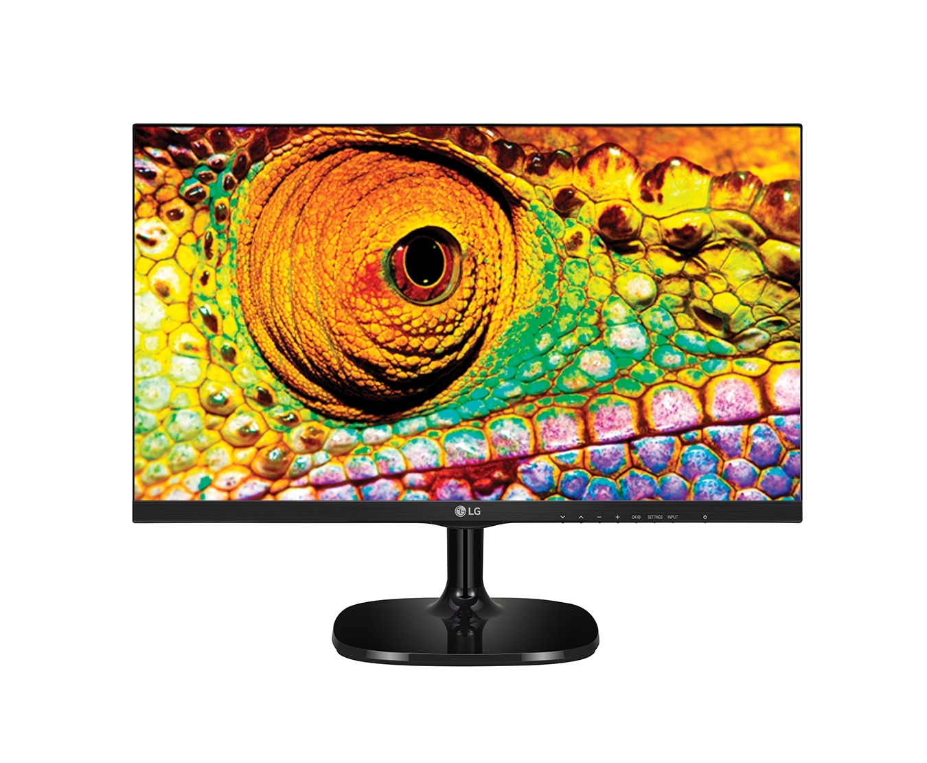 Vista frontal de Monitor con señal para TV  23MT77D