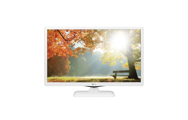 Vista frontal de Monitor con señal para TV  24LF4520