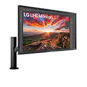 LG Monitor UHD 4K de 31.5" con Ergo, 32UK580-B