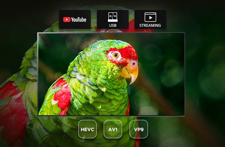 Pantalla de TV que muestra un documental de loro verde con Youtube, USB e íconos de transmisión