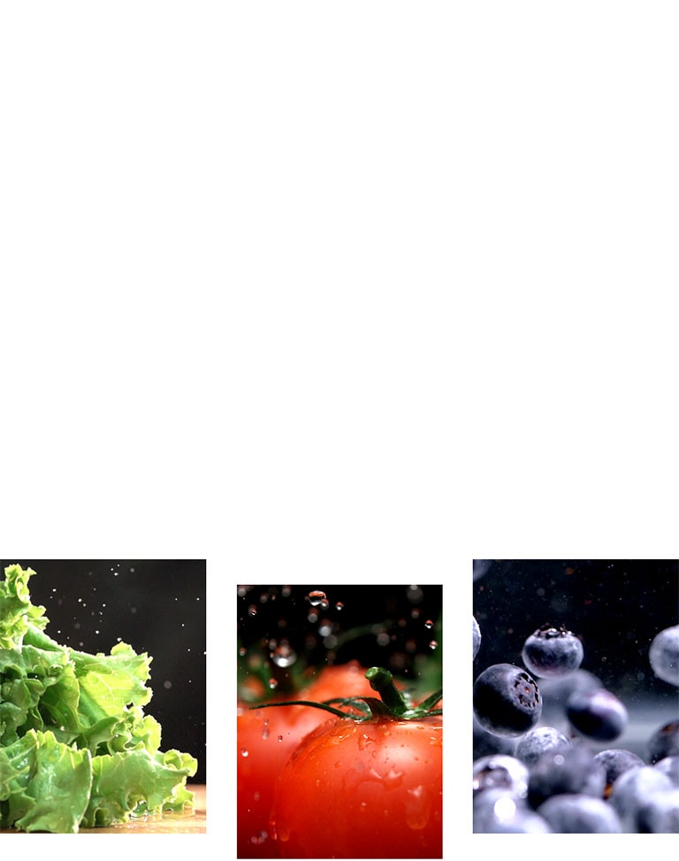 Frutas y verduras como la lechuga, los tomates y los arándanos se conservan frescos en el producto.