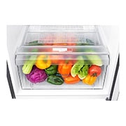LG Refrigerador Top Mount   8 pies cúbicos - Plata con Autodiagnóstico Smart Diagnosis™  | SMART INVERTER, GT26BPG