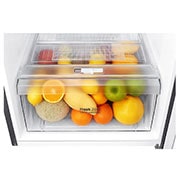 LG Refrigerador Top Mount   9 pies cúbicos - Plata con Multi Air Flow  | SMART INVERTER, GT29BPPK