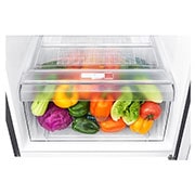 LG Refrigerador Top Mount   9 pies cúbicos - Plata con Multi Air Flow  | SMART INVERTER, GT29BPPK