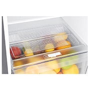 LG Refrigerador Top Mount   9 pies cúbicos - Plata con Multi Air Flow  | SMART INVERTER, GT29BPPK