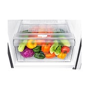 LG Refrigerador Top Freezer 11 pies³ Inverter, GT32WPK