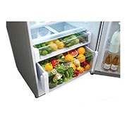 LG TOP MOUNT | 16 cu.ft, GT46HGP