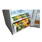LG TOP MOUNT | 16 cu.ft, GT46WGP
