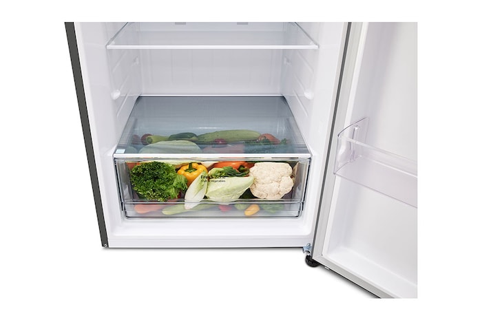 LG Refrigerador Top Freezer 16 pies³ INVERTER, VT45BP