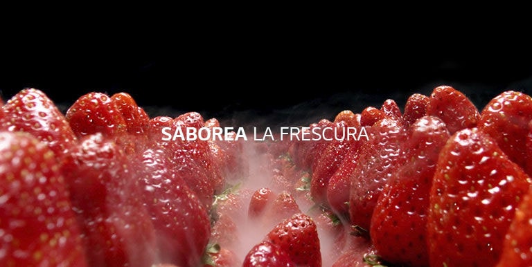  SABOREA LA FRESCURA