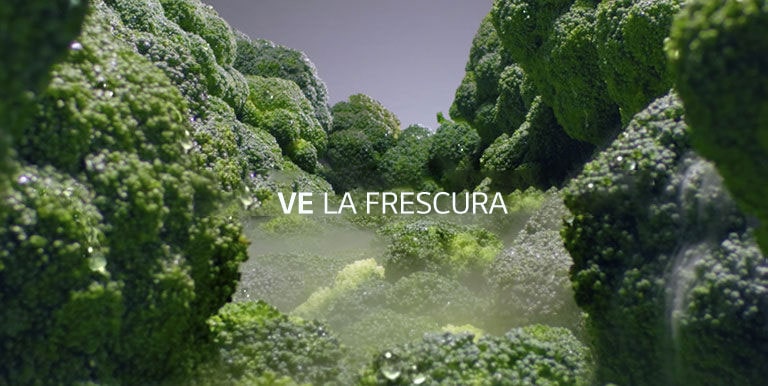  VE LA FRESCURA