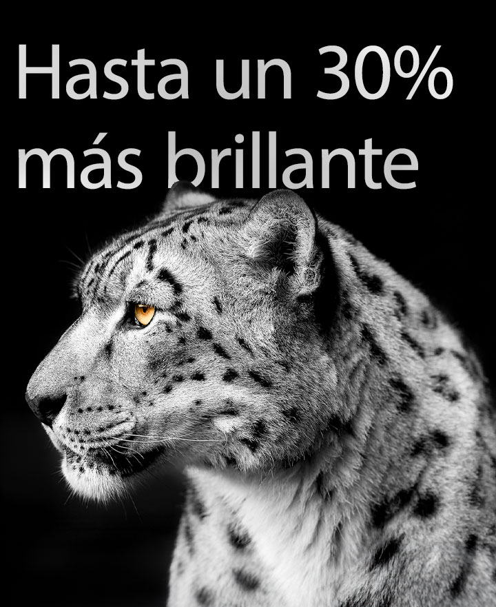 Una imagen de un leopardo blanco que muestra su cara lateral en el lado izquierdo de la imagen. A la izquierda aparecen las palabras "Hasta un 30% más brillante".