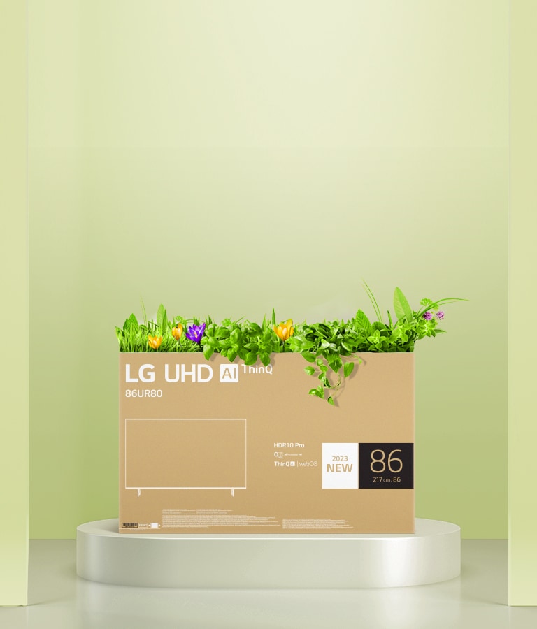 Empaque de cartón ecológico LG OLED representado alrededor de árboles y montañas.